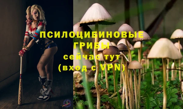 СК Ладушкин