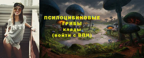 бошки Покровск