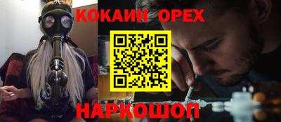 крисы Краснознаменск