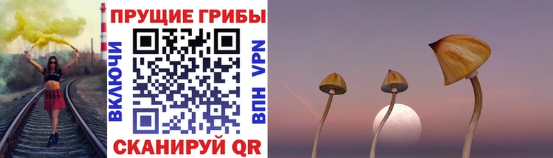 Галлюциногенные грибы MAGIC MUSHROOMS Углич