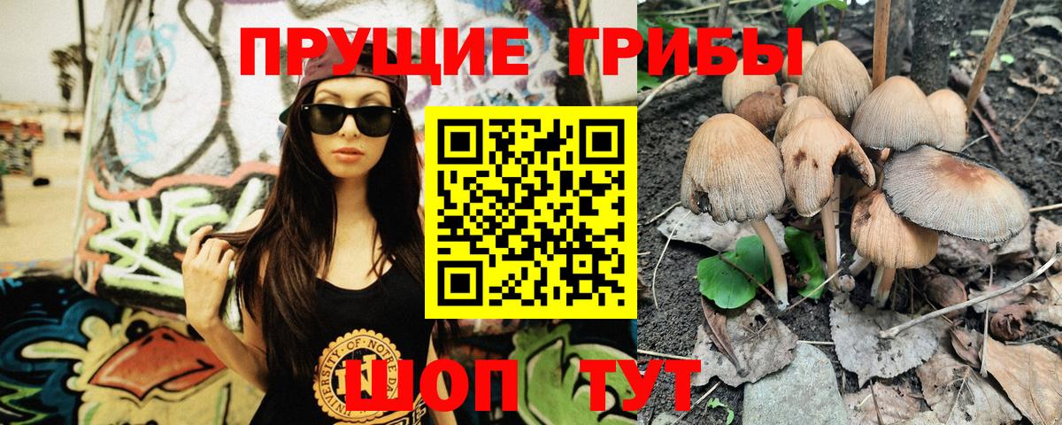 Галлюциногенные грибы Cubensis Углич
