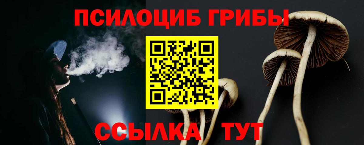 Углич  Галлюциногенные грибы прущие грибы  Вход с VPN 