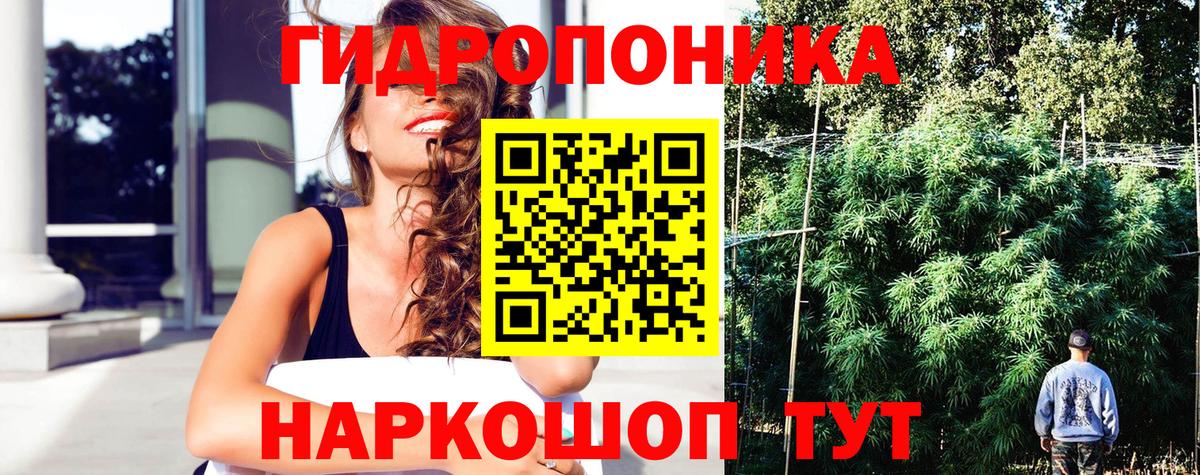 Конопля Ganja  Вход с VPN  Конопля конопля  Шишки марихуана Amnesia  Углич  МАРИХУАНА конопля 